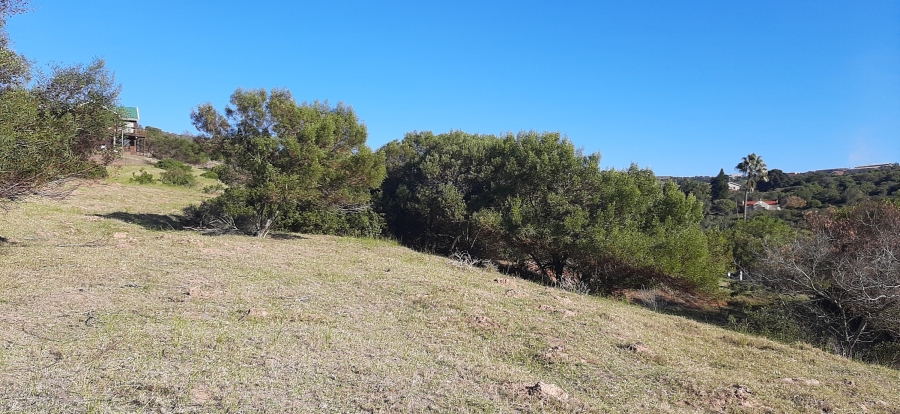 Commercial Property for Sale in Bergsig Western Cape